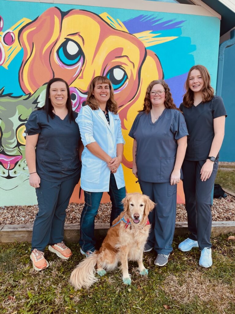 Cornerstone Veterinary Hospital Mountain Home Vet Care In Mountain Home