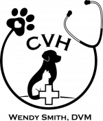 CVH Stethascope Logo Transparent Background
